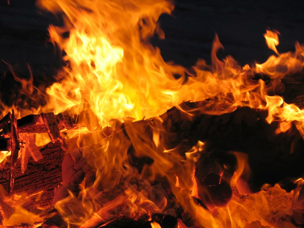 Brandend houtvuur van dichtbij